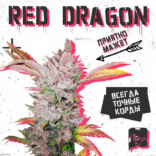 RED DRAGON