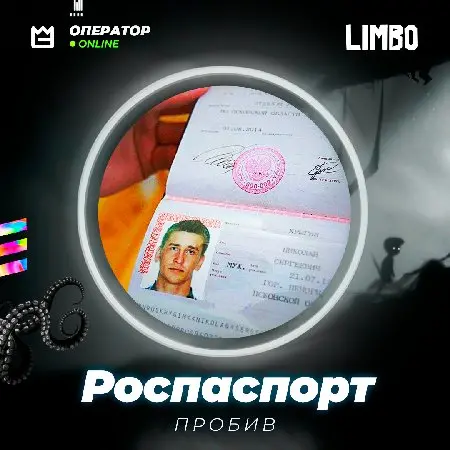 👤 Пробив по базе Роспаспорт ⚡️ [Пробив паспортных данных+фото]