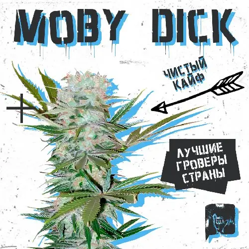 MOBY DICK