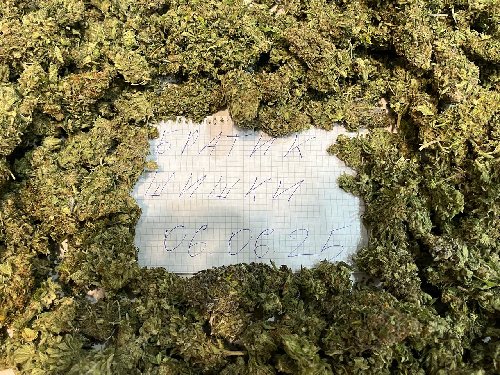 WEED 