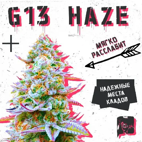 G13 HAZE
