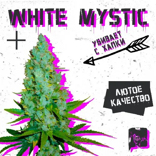 WHITE MYSTIC