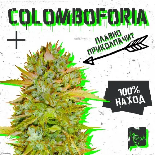 COLOMBOFORIA